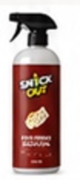Termite Protection Wood Shining